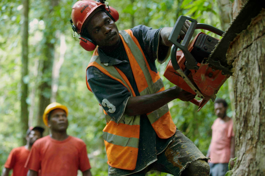 Nebu Timber Factory and Team