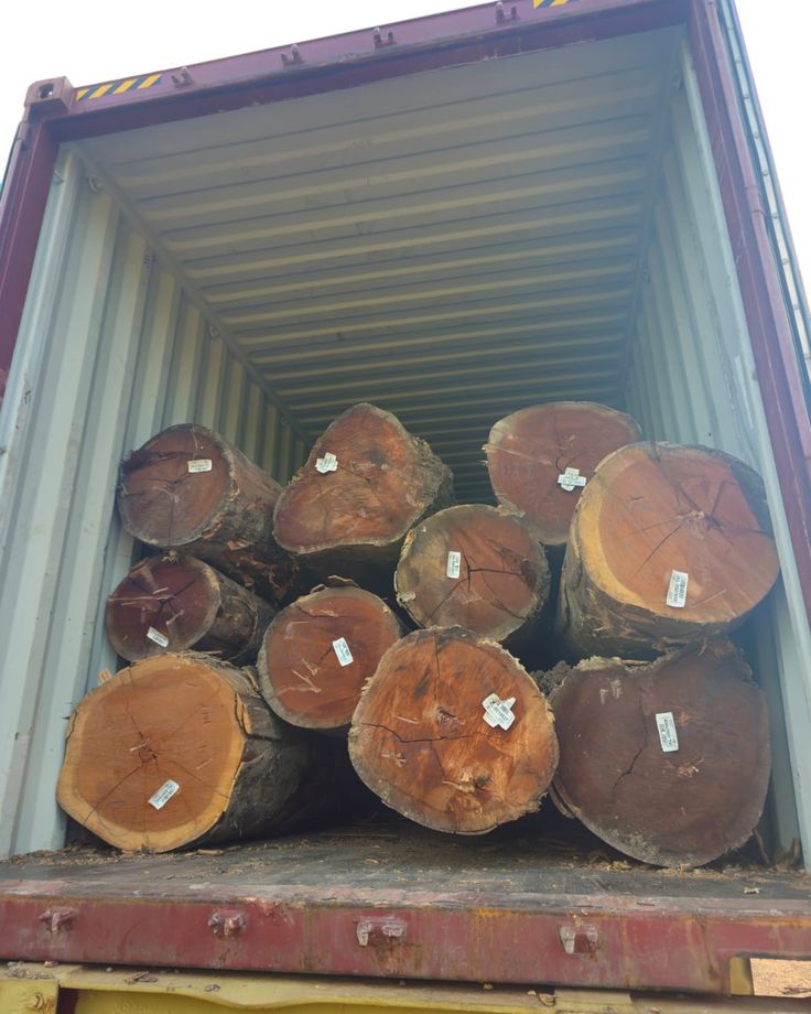 How to Determine The Moisture Content of Wood