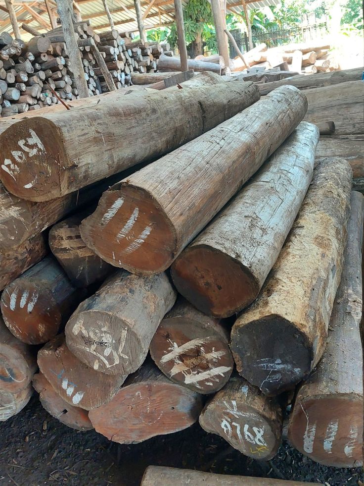 How To Import Wood From Cameroon