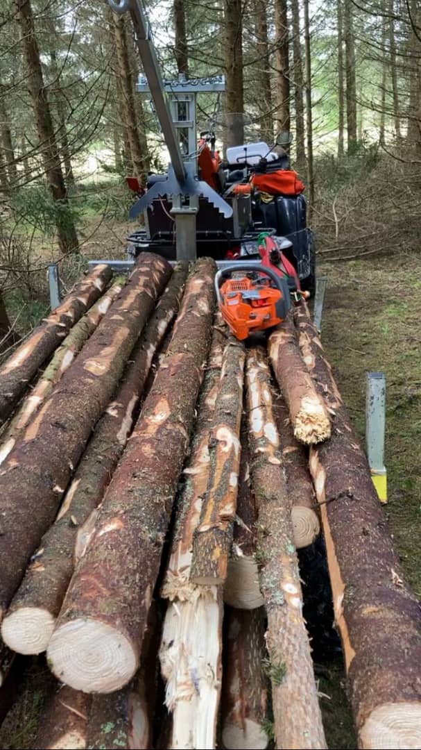 Bilinga wood: Properties, Characteristics & Uses