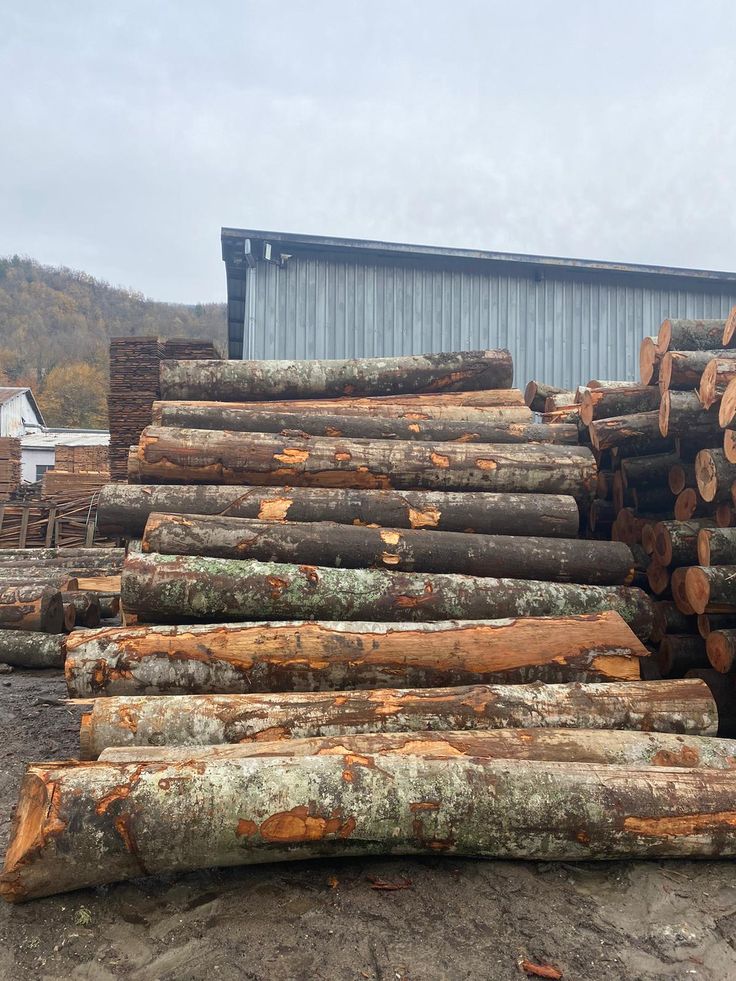 Cherry Wood: Properties, Characteristics & Uses