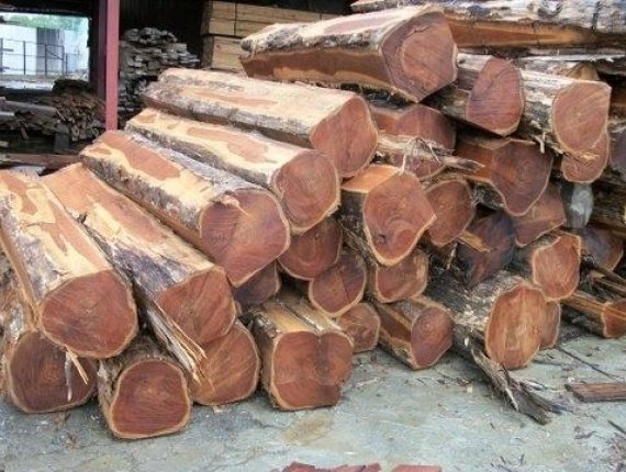 5 TIPS to Find African Hardwood Suppliers