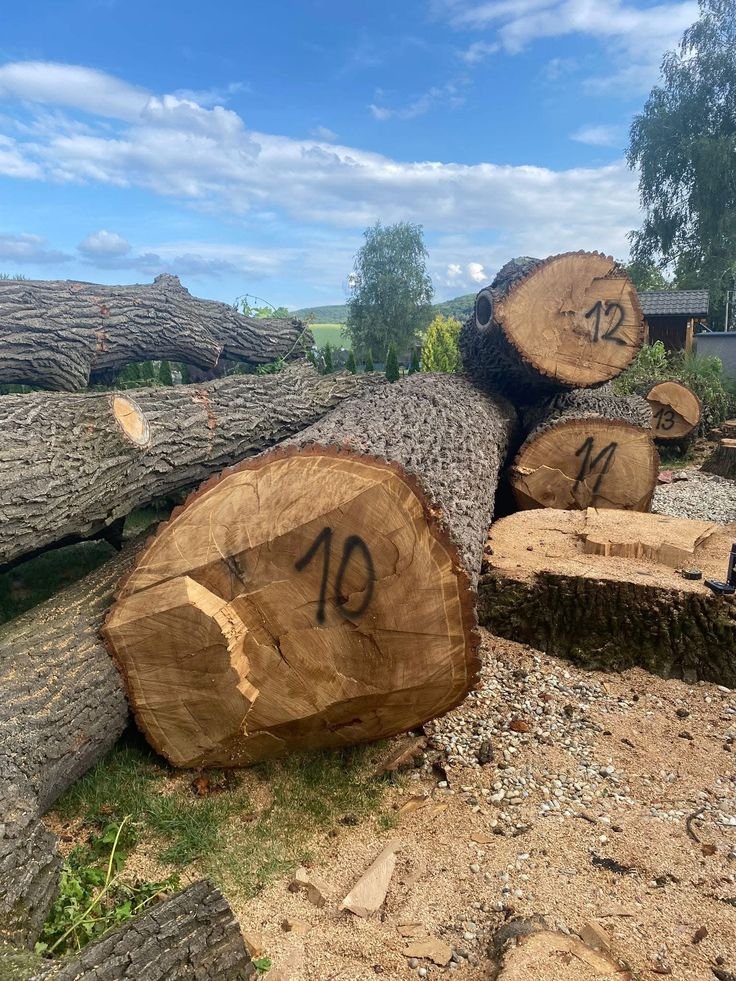 Sustainable Timber Sourcing: Best Practices for 2026