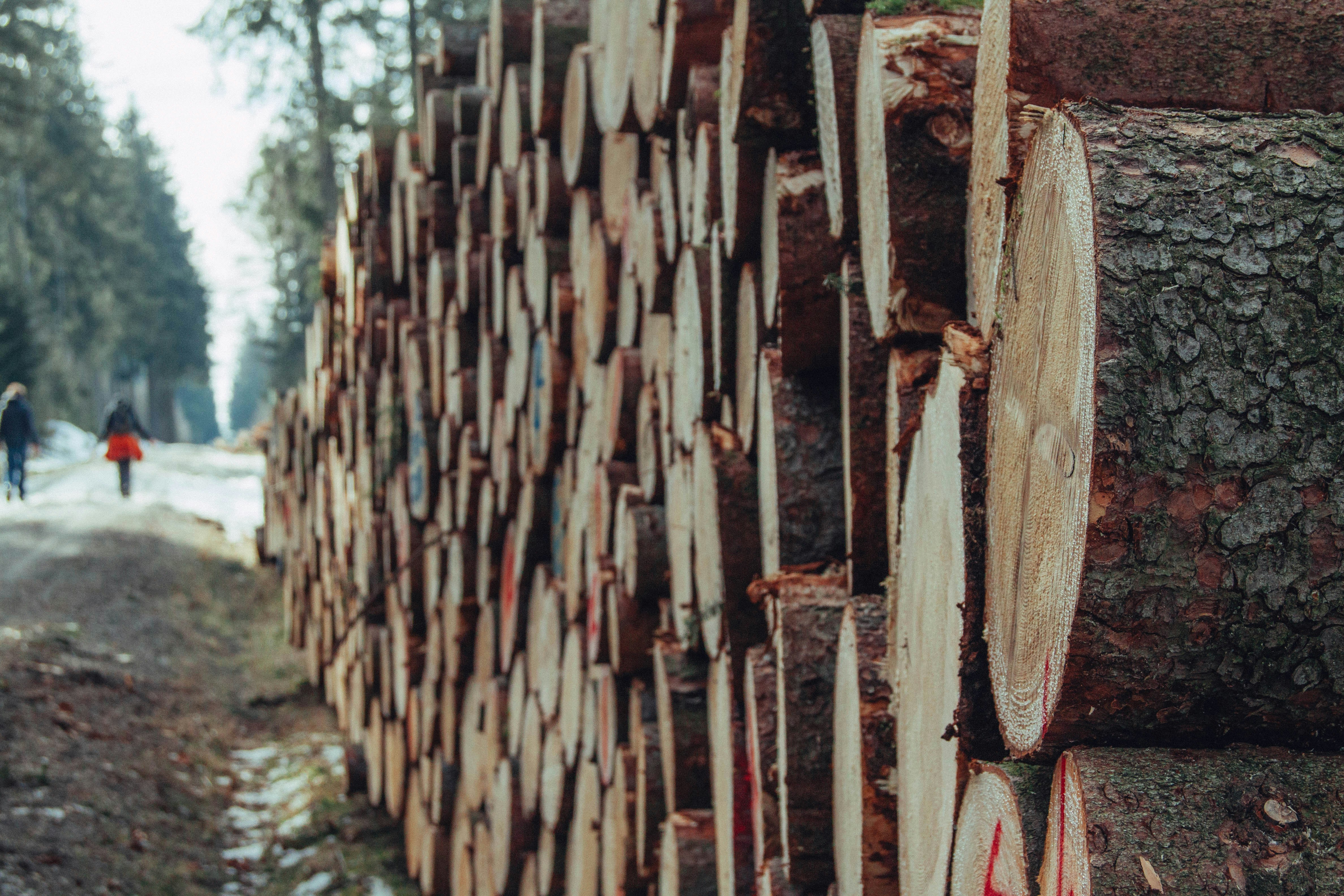 mukulungu-best-underwater-wood-5