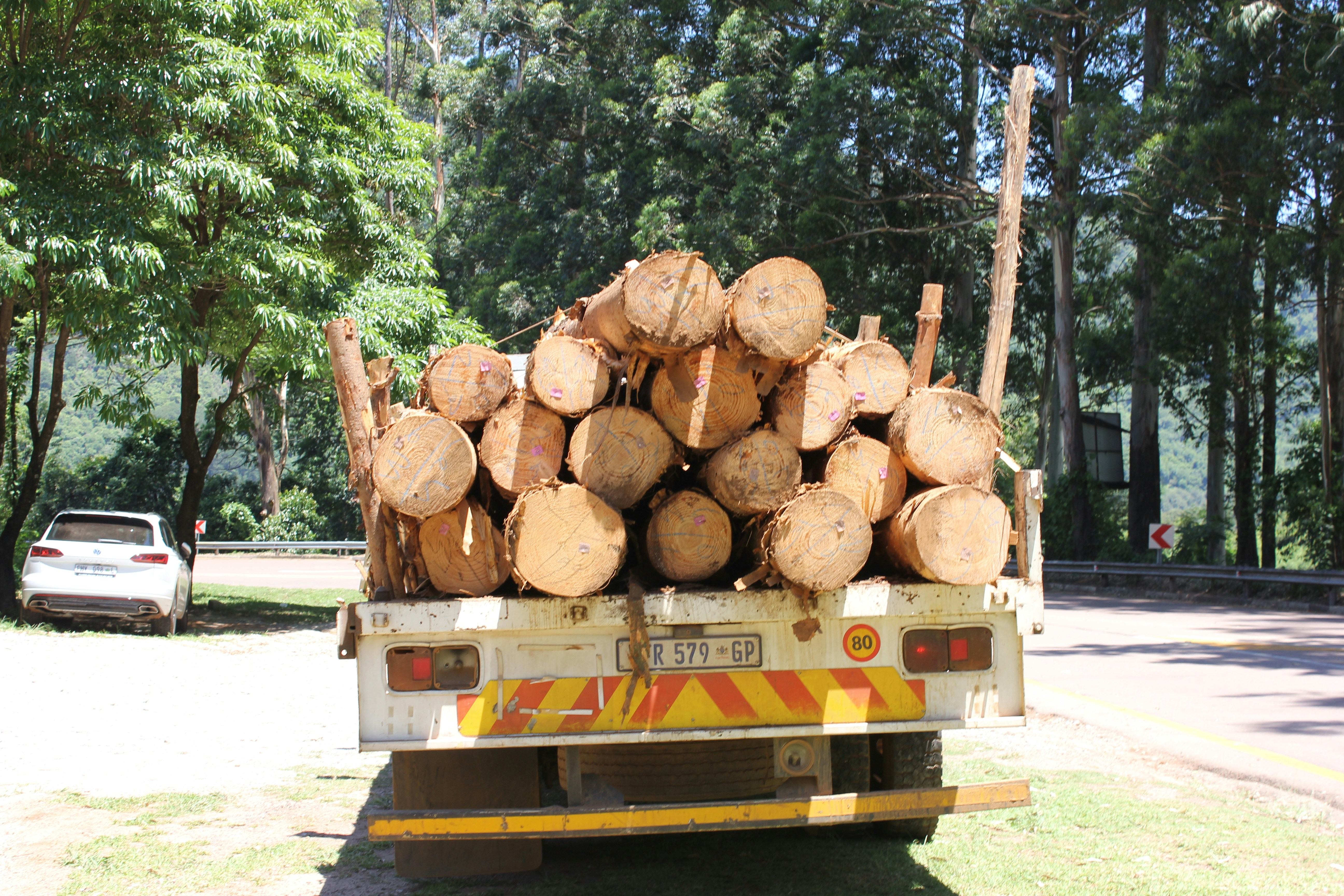 the-secrets-of-natural-wood-processing-6