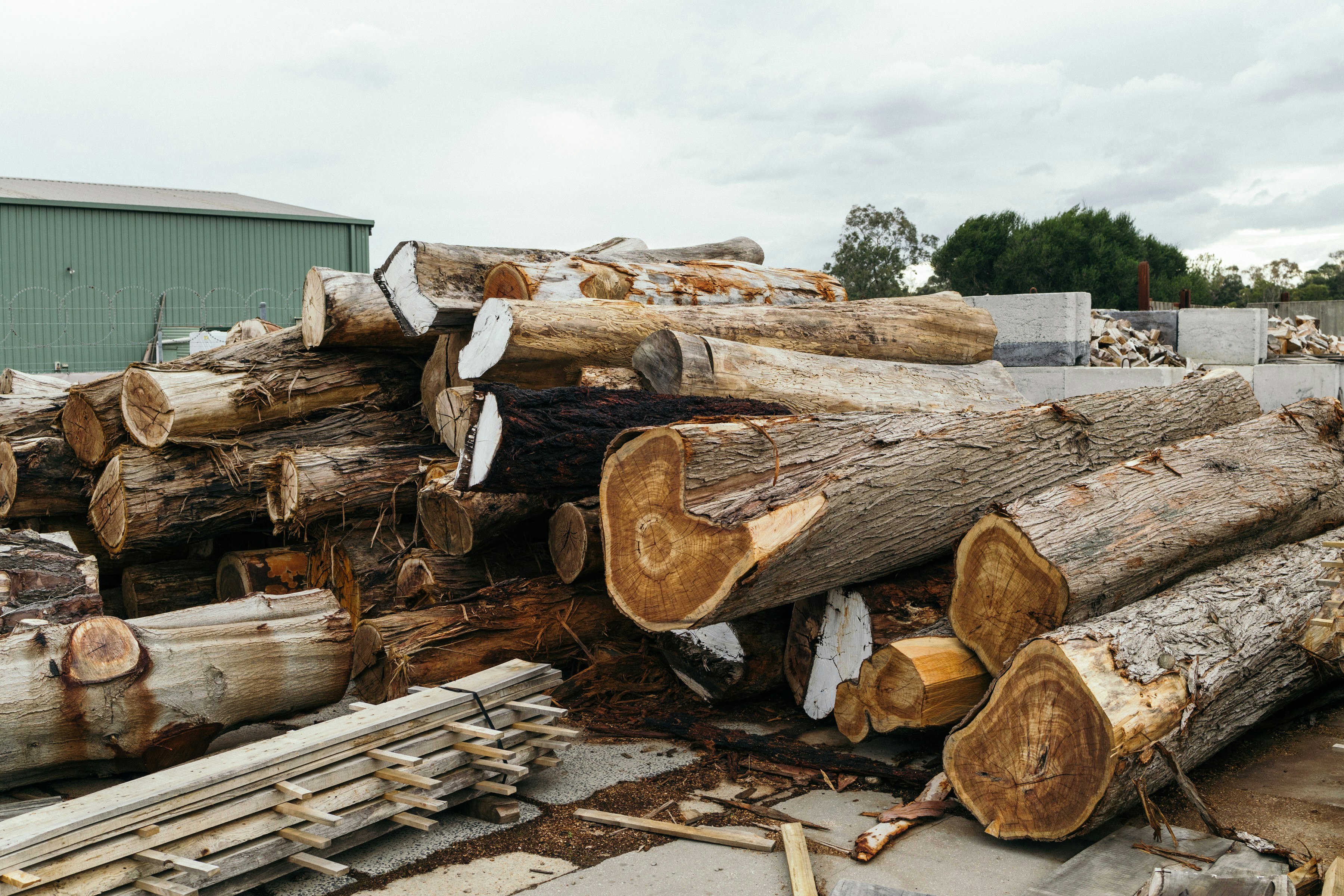 why-are-african-hardwoods-always-highly-sourced-12