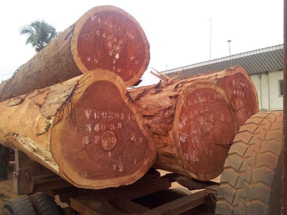 Nebu Timber African hardwood timber