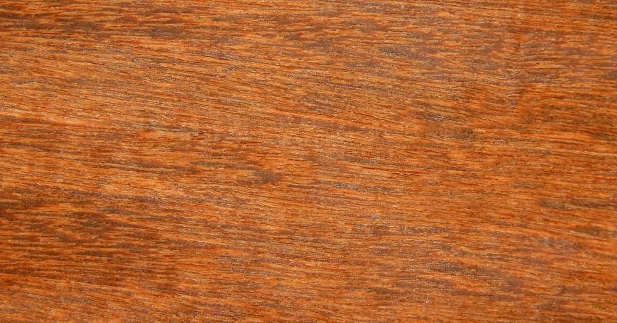 Eucalyptus-Wood