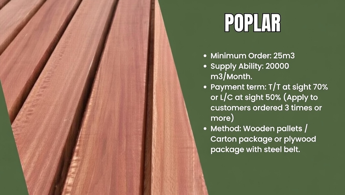 poplar