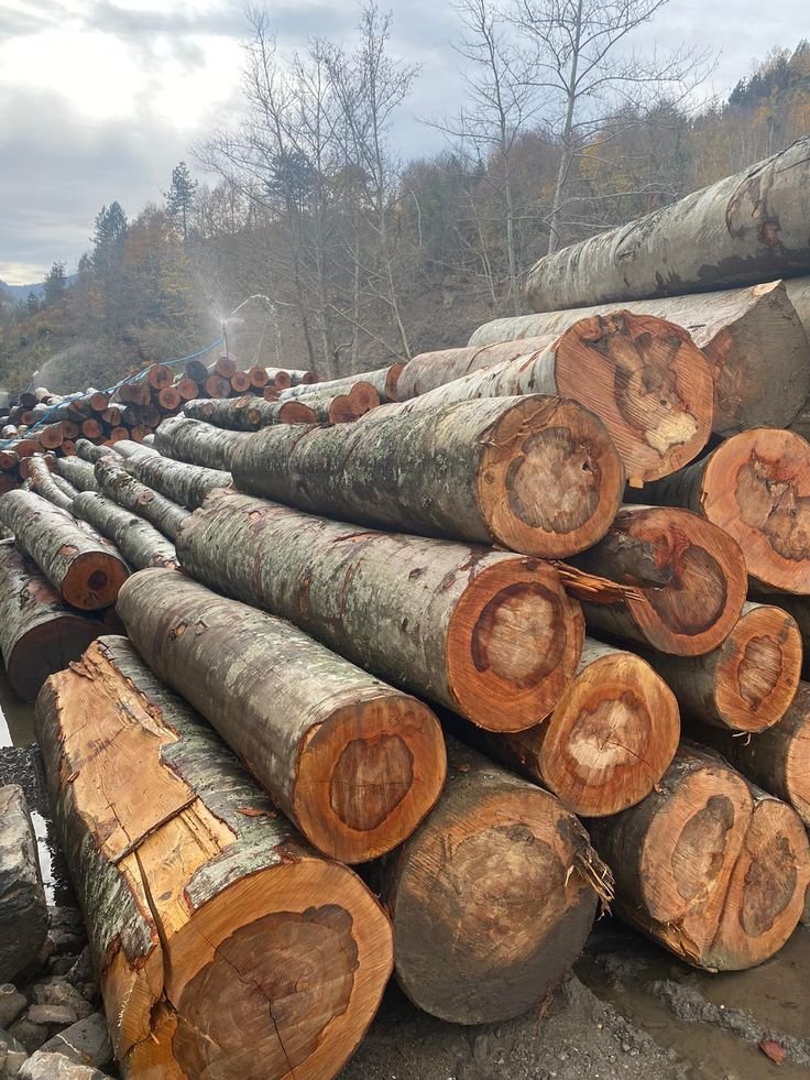 5 most accurate types of wood moisture meters